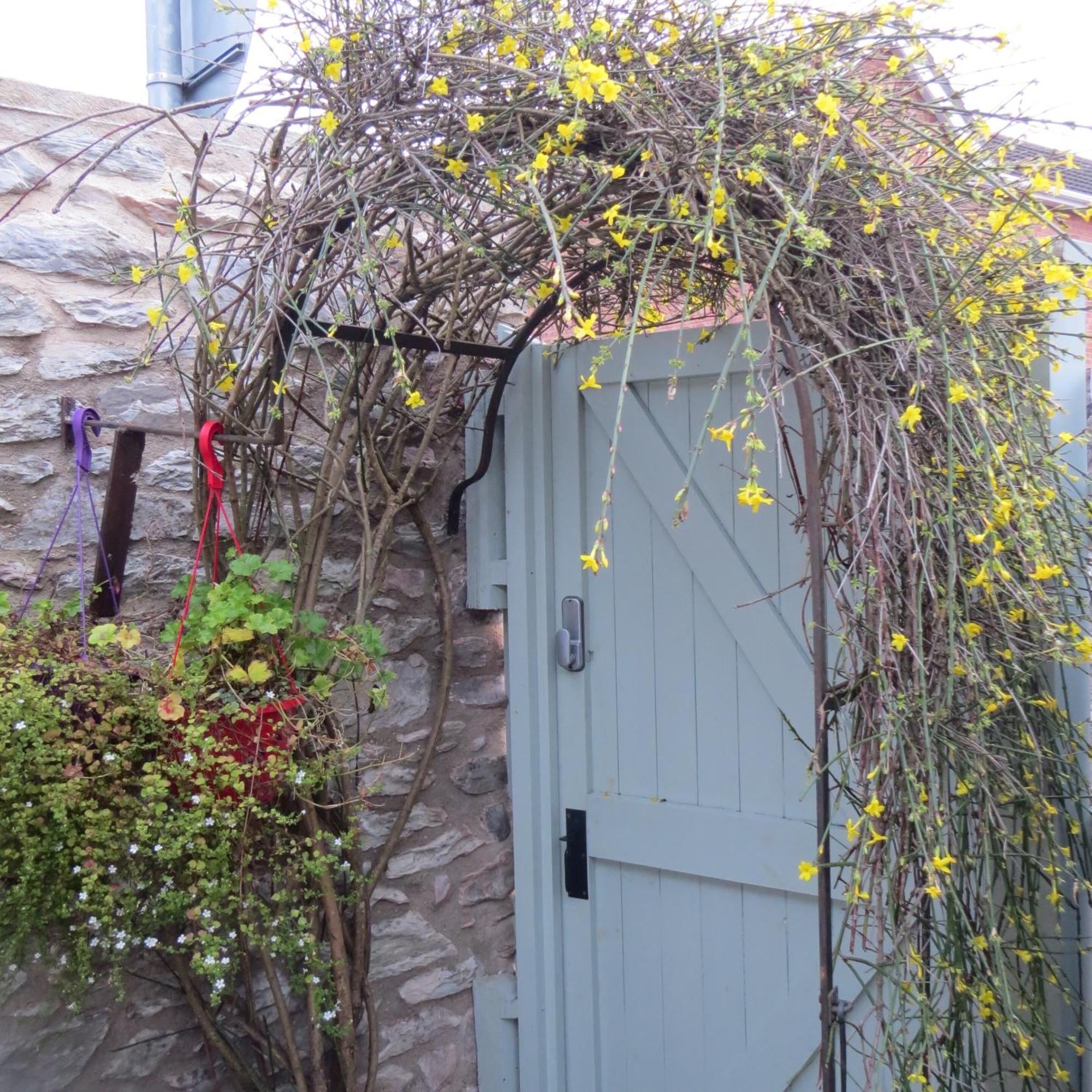 Frog Palace - Secure Parking-Outside Area-Topsham-Exeter-Beach-Chiefs-Wifi Bagian luar foto